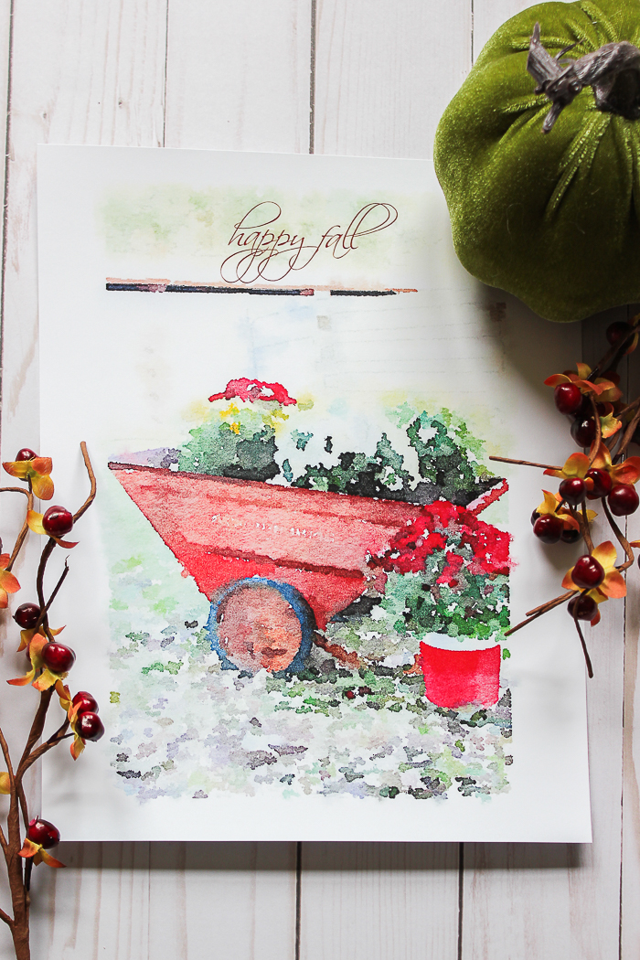 Five Free Fall Mums Watercolor Printables