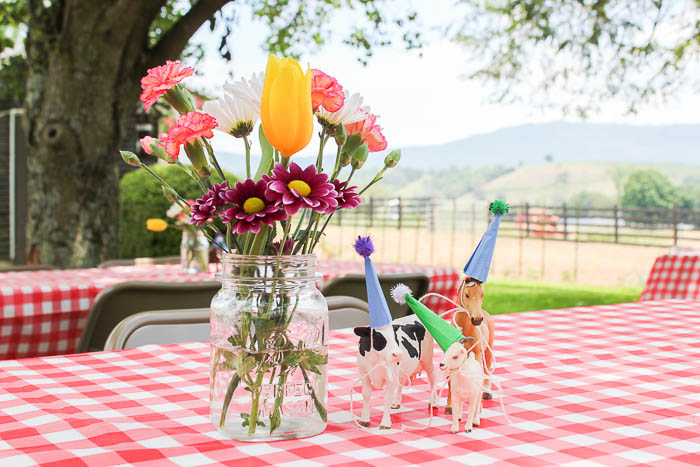 Farm Birthday  Party  Ideas  Decor Games and More