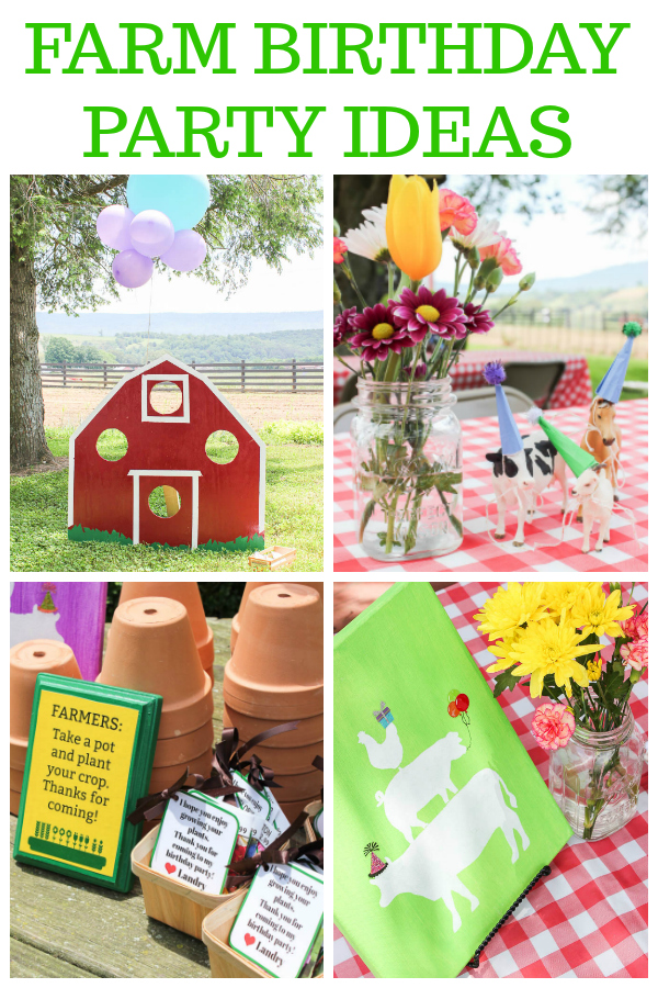 Farm Invitations Ideas 9