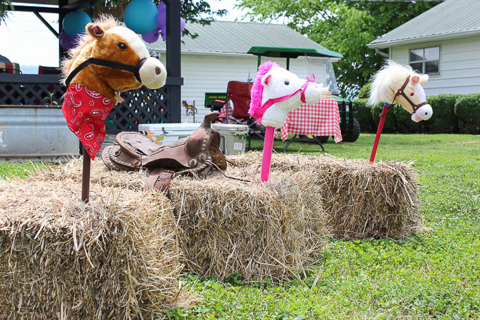 Simple, Affordable and Easy Farm Birthday Party Ideas